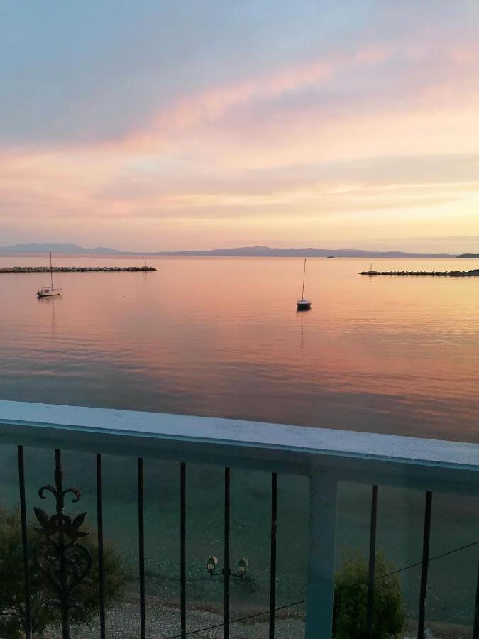 Villa Evmenia Panoramic View & Sea Front Apartments Skopelos Town Exterior photo