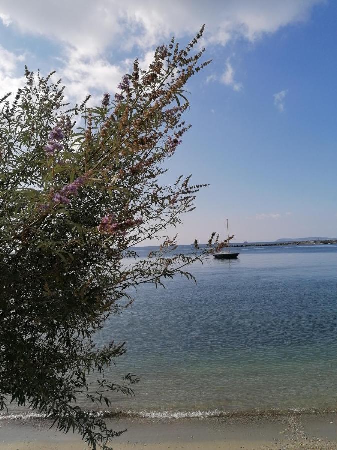Villa Evmenia Panoramic View & Sea Front Apartments Skopelos Town Exterior photo